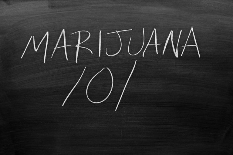 Stockton University's minor in cannabis studies will feature classes on cannabis law, economic botany, and business operations. (Big Stock image)