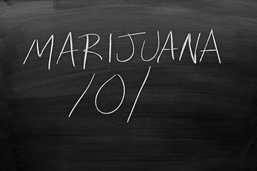The words “Marijuana 101” on a blackboard in chalk Stockton University's minor in cannabis studies will feature classes on cannabis law, economic botany, and business operations. (Big Stock image)