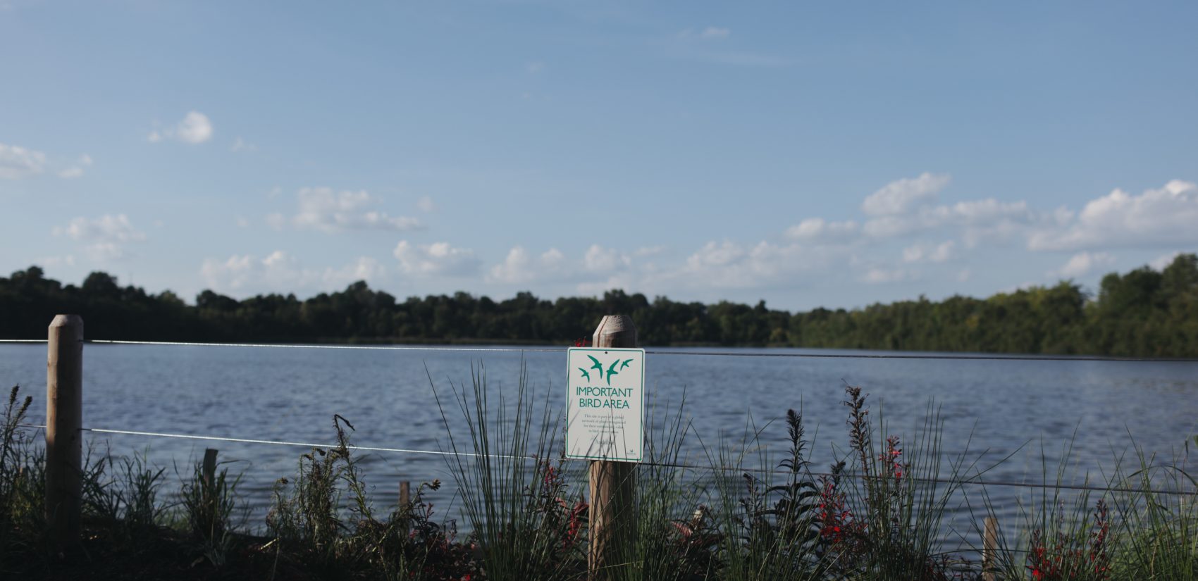 The East Park Reservoir is being renamed Strawberry Mansion Reservoir. (Neal Santos for PlanPhilly)