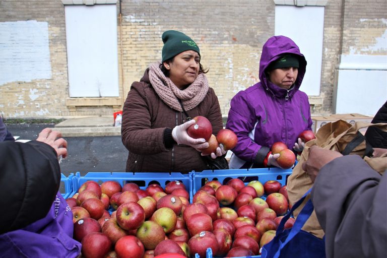 Philabundance volunteers fill bags and boxes with fresh produce during a free farmers market at Lillian Marrero Library in Philadelphia's Fairhill neighborhood, March 14, 2018. (Emma Lee/WHYY)
