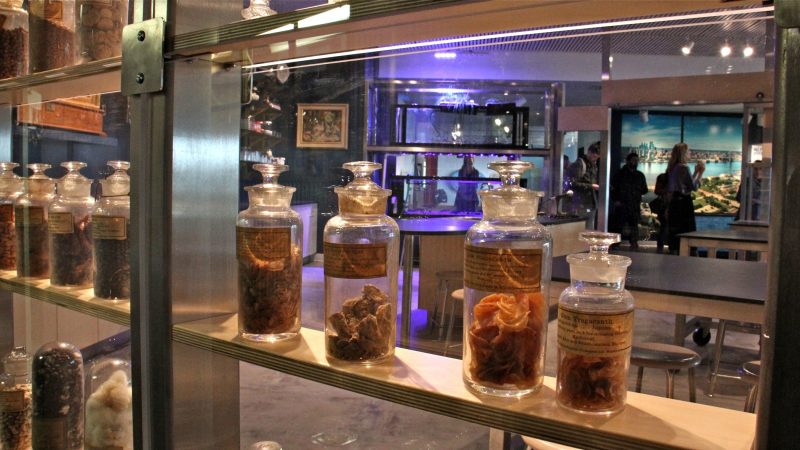 Antique glass jars containing natural products produced in Philadelphia decorate one wall of the classroom. The jars were obtained from the Philadelphia Commercial Museum when it closed in 1994. (Emma Lee/WHYY)