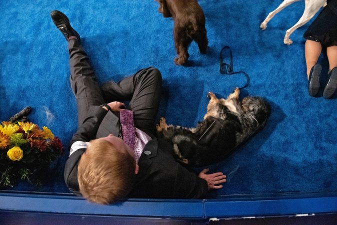 Evan Threlfall sits with his tired English cocker spaniel, Enron, during a long day of competition at the National Dog Show in Oaks, Pa. (Kriston Jae Bethel for WHYY)