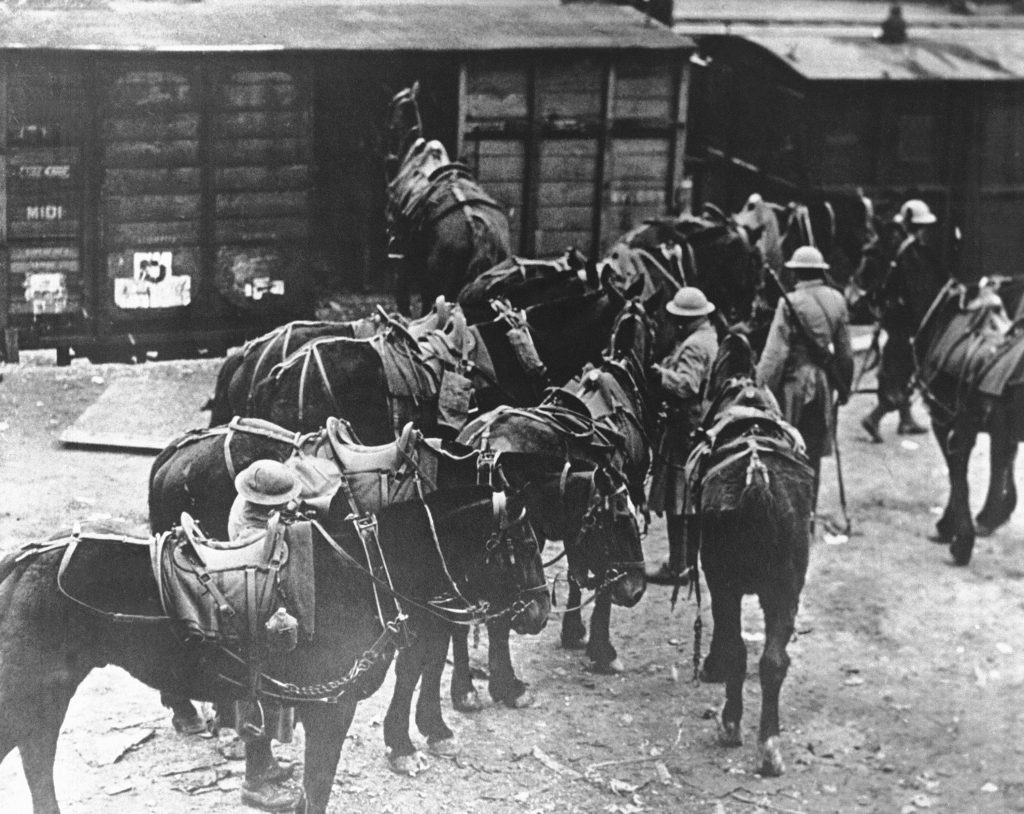 EU WWI Beasts of War In this March 7, 1918 file photo, men of U.S. Battery E, 5th Field Artillery Battalion, 1st Infantry Division, load horses onto freight cars in Toul, eastern France, en route to the French front. They were messengers, spies, sentinels and the heavy haulers of World War I, carrying supplies, munitions and food and leading cavalry charges. The horses, mules, dogs and pigeons were a vital part of the Allied war machine, saving countless lives, and dying by the millions. (AP Photo, File)