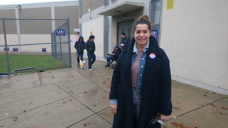 Lilliam Fernandes, a scientist who emigrated from Brazil as a student, loves the United States for the opportunities to succeed. She says vetting at borders needs to be robust. She voted for all Democrats Tuesday. Of the  GOP stance on immigration, she said: 