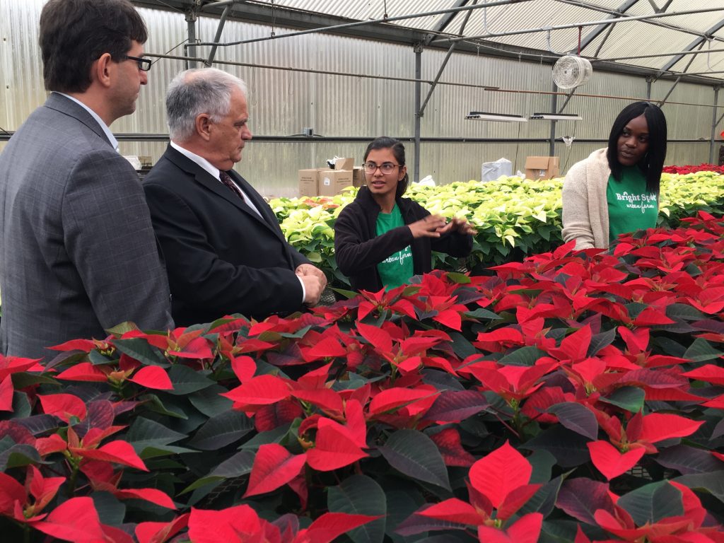 IMG_2109 New Castle County Executive Matt Meyer and West End Neighborhood House executive director Paul Calistro listen as Bright Spot Farms director Sindhu Siva describes the work needed to grow poinsettias at the New Castle farm. (Mark Eichmann/WHYY)