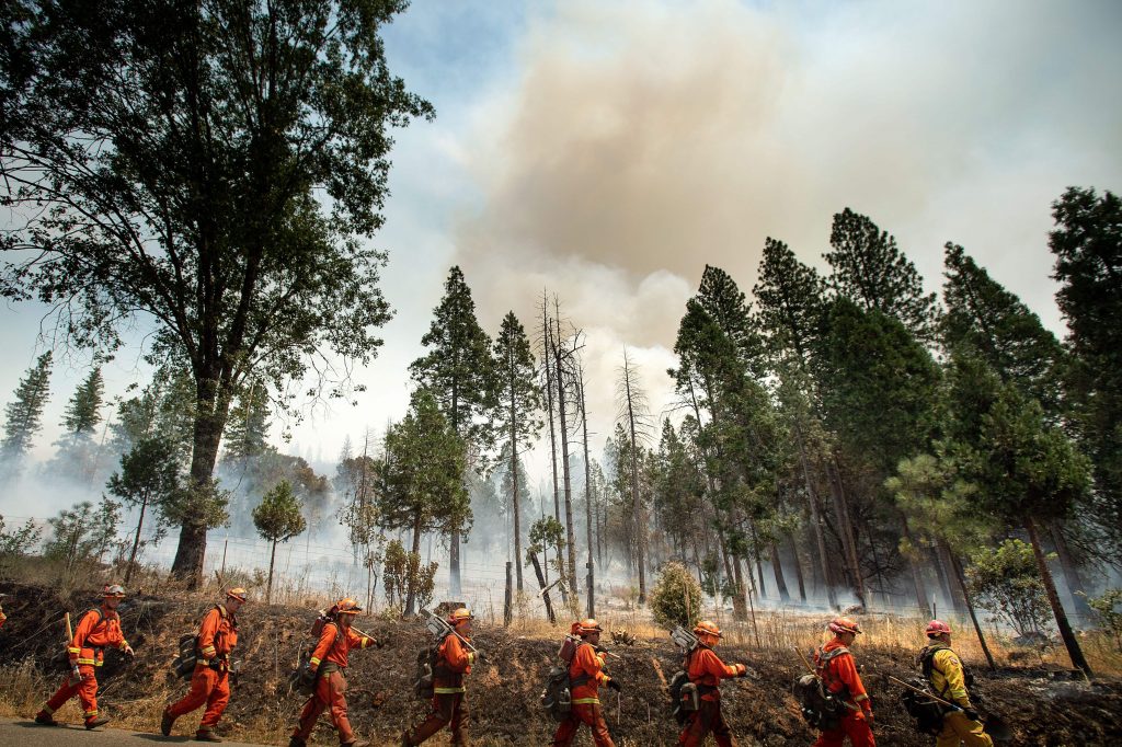 Inmate firefighters battle a California wildfire in July. Qualified inmates can volunteer to be trained in firefighting; in exchange, they are paid $2 a day and an extra $1 per hour when fighting fires. The inmate firefighters also receive sentence reductions. Inmate firefighters battle a California wildfire in July. Qualified inmates can volunteer to be trained in firefighting; in exchange, they are paid $2 a day and an extra $1 per hour when fighting fires. The inmate firefighters also receive sentence reductions.
(Noah Berger/AFP/Getty Images)