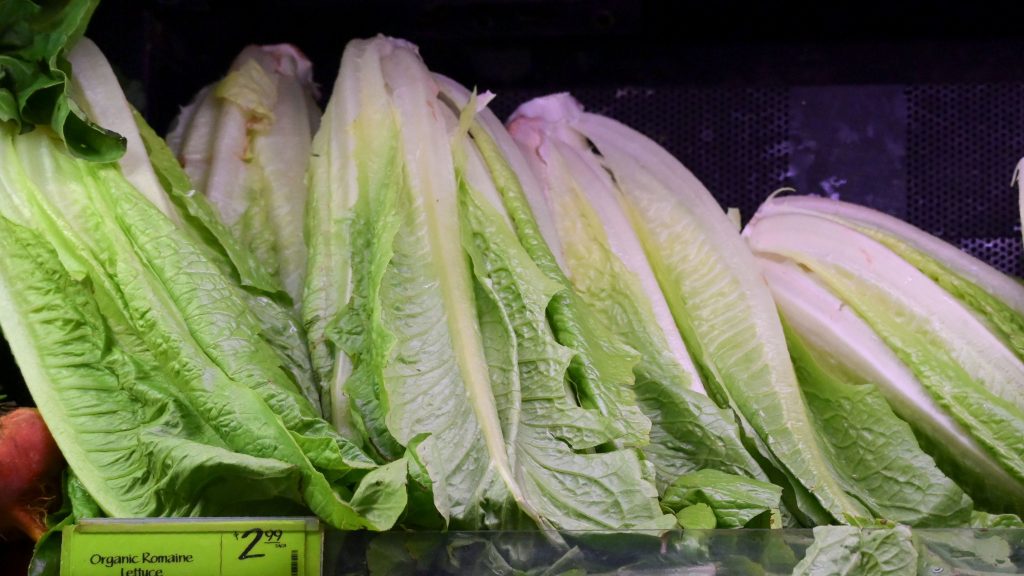 Romaine lettuce is seen on sale at a supermarket in Washington, D.C., on Nov. 20. The Centers for Disease Control and Prevention issued a warning against all romaine lettuce just two days before Thanksgiving. Now the CDC has narrowed the source of the outbreak to California’s central coast. Romaine lettuce is seen on sale at a supermarket in Washington, D.C., on Nov. 20. The Centers for Disease Control and Prevention issued a warning against all romaine lettuce just two days before Thanksgiving. Now the CDC has narrowed the source of the outbreak to California's central coast (Andrew Caballero-Reynolds/AFP/Getty Images)