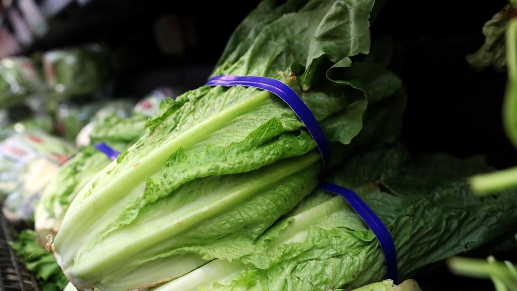 Investigators who are trying to track down the source of E. coli in romaine lettuce have seen this before. They’re tracking the exact strain of bacteria that caused a small outbreak a year ago. Investigators who are trying to track down the source of E. coli in romaine lettuce have seen this before. They're tracking the exact strain of bacteria that caused a small outbreak a year ago. (Justin Sullivan/Getty Images)