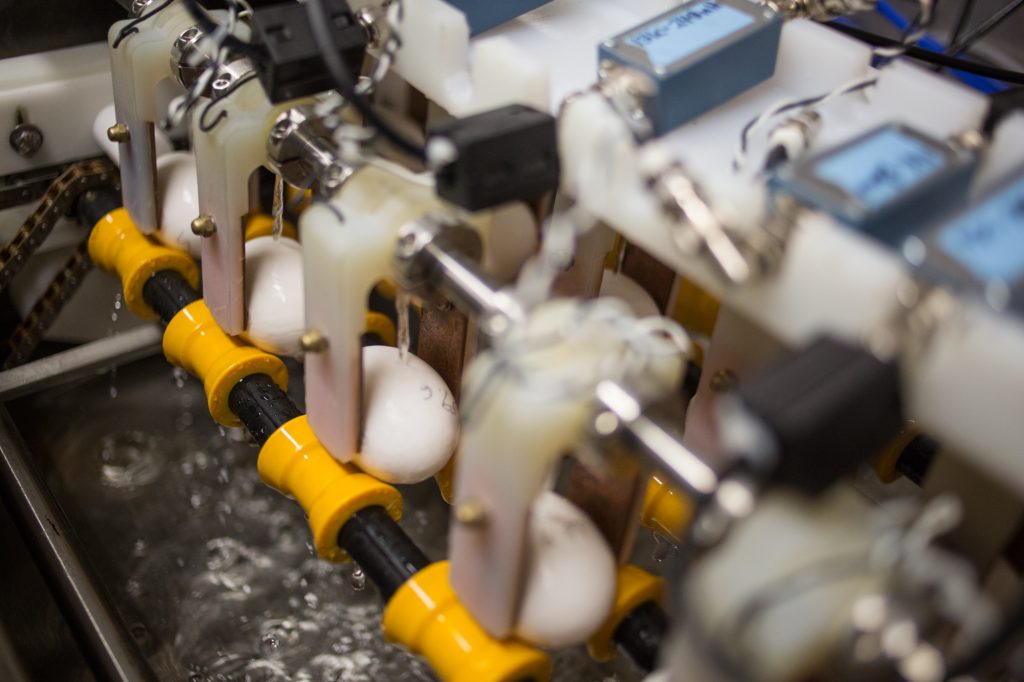 10 29 2018-e cohen – egg pasteurization – usad wyndmoor A dozen eggs are pasteurized via radio frequency in a prototype machine. Dr. David Geveke, a researcher at the USAD ARS, and Christopher Brunkhorst, a researcher from Princeton University, are working to develop a way to pasteurize eggs via radio frequencies. The project is in its 6th year, they hope to begin introducing it to the market in the next few years. (Emily Cohen for WHYY)