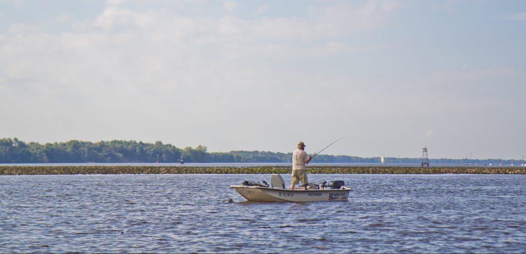 2018 10 29 k paynter fishing part 1_ File photo: A member of the Delaware River Fishermen's Association fishes for catfish in Bucks County. (Kimberly Paynter/WHYY)