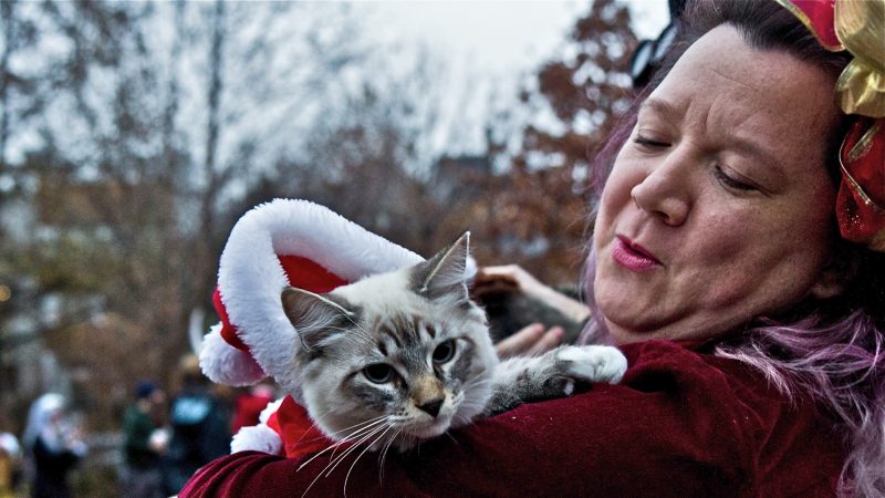 Revelers gather at Liberty Lands Park dressed as dark spirits. (Kimberly Paynter/WHYY)