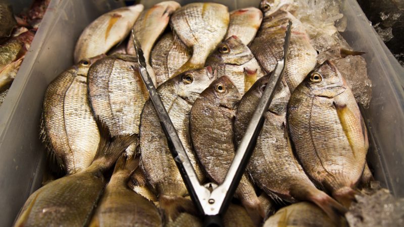 Fish for sale at R.J. Darigo Seafood in the Italian Market. (Kimberly Paynter/WHYY)