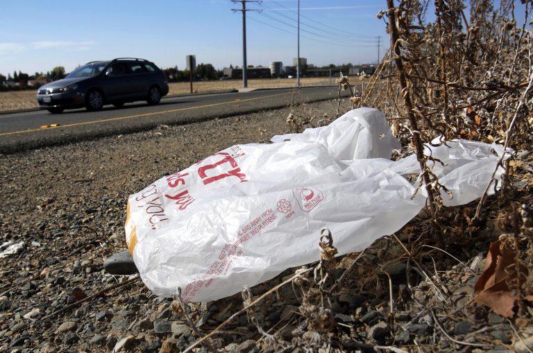 In this Oct. 25, 2013, file photo, a plastic bag sits along a roadside in Sacramento, Calif. (Rich Pedroncelli/AP Photo)