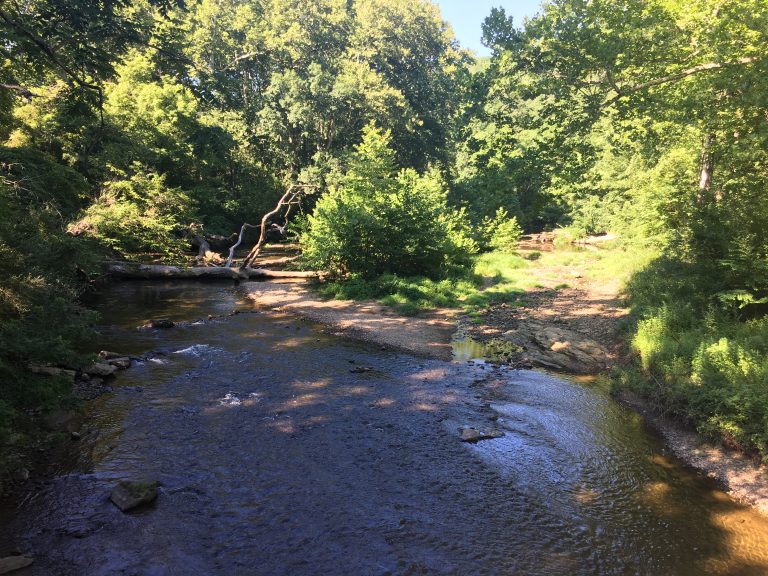 IMG_1132-768×576 Some of the smallest streams would lose federal clean water protection under Trump's plan. (Mark Eichmann/WHYY)