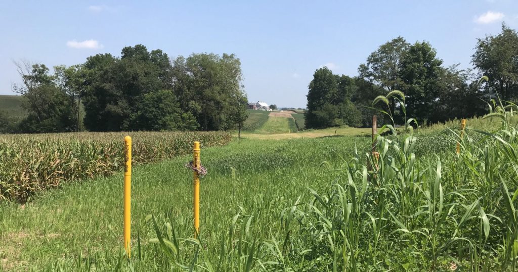 IMG_7885-e1537383872778-1920×1010 Yellow markers show the right of way for the Mariner East pipeline in Lebanon County. (Marie Cusick/ StateImpact Pennsylvania)