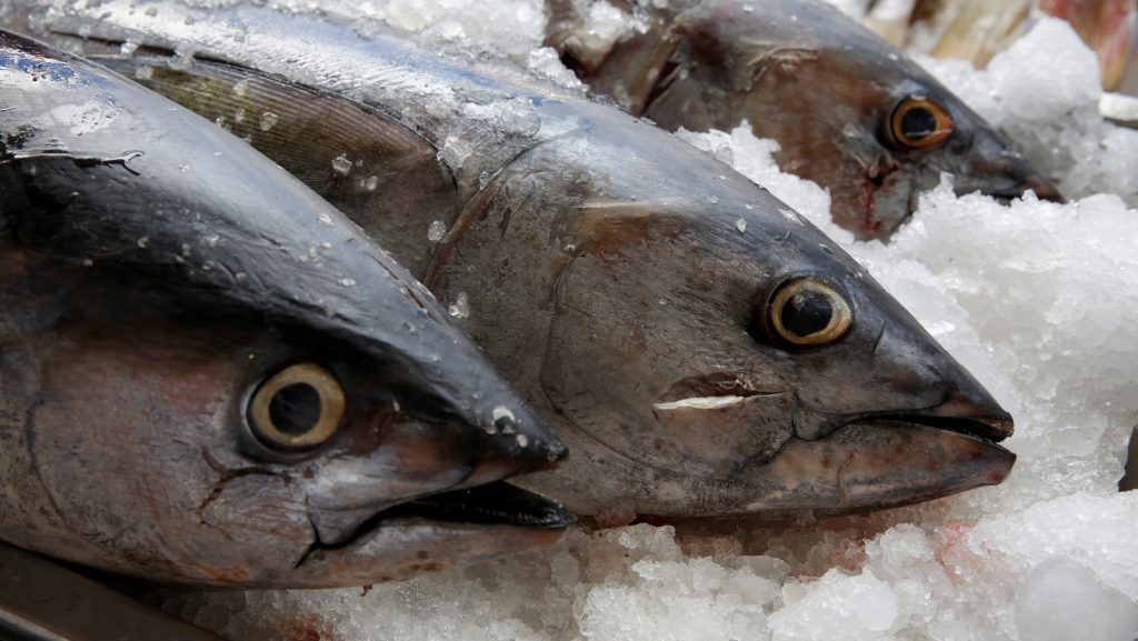 Tuna, seen on display last year at a fish market in Mexico City. The World Trade Organization dealt Mexico a defeat on appeal Friday, dismissing the country’s argument that labeling regulations in the U.S. violated WTO rules. Tuna, seen on display last year at a fish market in Mexico City. The World Trade Organization dealt Mexico a defeat on appeal Friday, dismissing the country's argument that labeling regulations in the U.S. violated WTO rules.
(Henry Romero/Reuters)