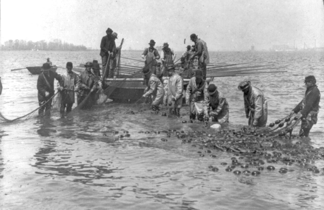 Shad fishermen loading their half-mile of net on the Delaware River in Philadelphia. (Library of Congress, 1905 ca.)