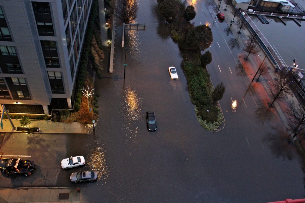 2018 11 26-e lee-philadelphia columbus boulevard-flooding Cars are stranded on Columbus Boulevard in Philadelphia on Nov. 26, 2018, after flooding made the road impassable. (Emma Lee/WHYY)