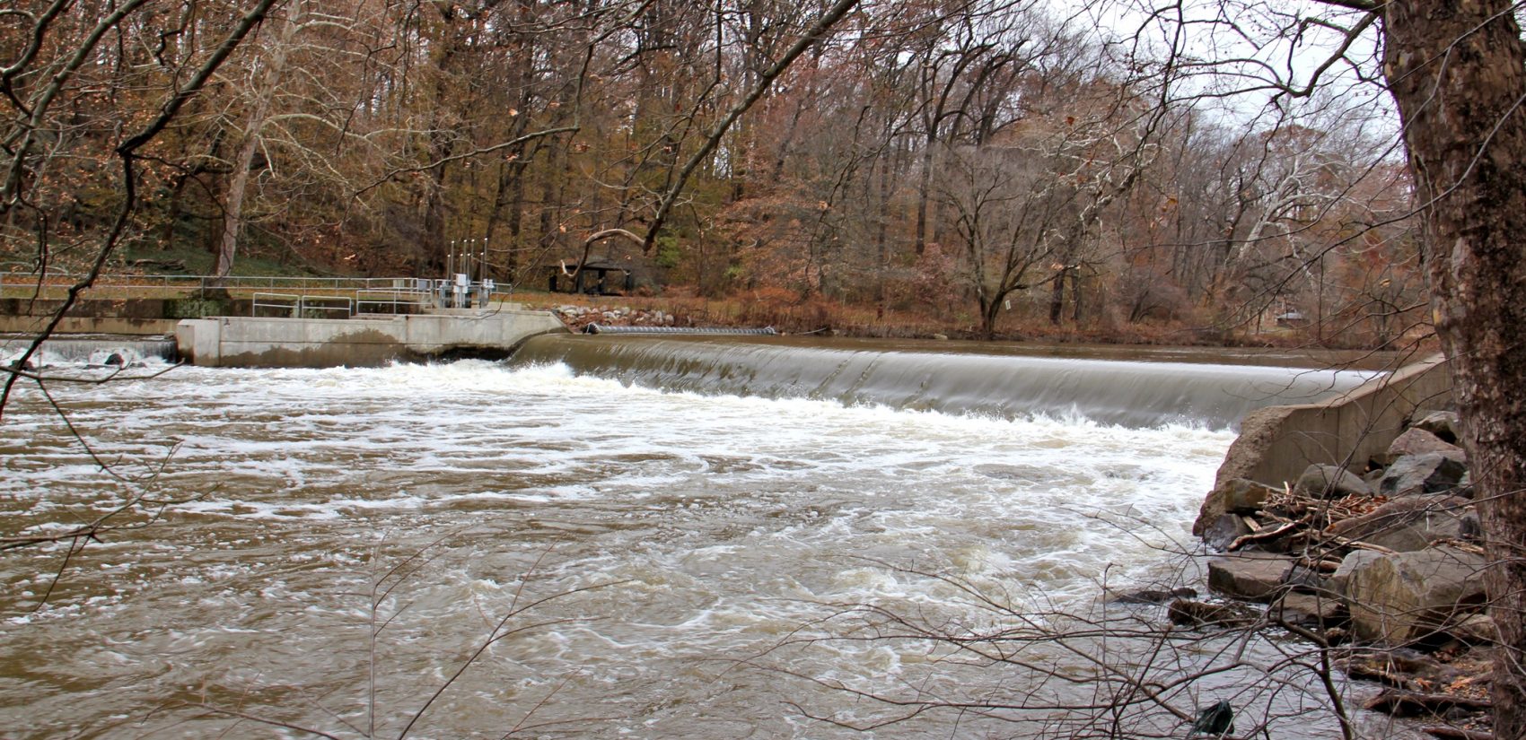 The Brandywine Creek in Wilmington, Delaware, shown here, is a tributary of the Christina River, which feeds into the Delaware River. (Emma Lee/WHYY)