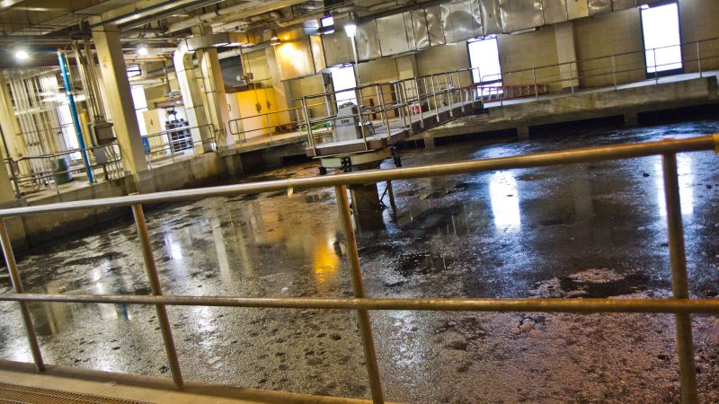 In this part of the treatment plant, grit (sand, coffee grounds, gravel) and heavy organic solids (peas, corn) are taken out in the grit removal basin. Both are taken to the landfill. Things like seeds and smaller solids that aren’t removed here are removed in primary treatment. (Kimberly Paynter/WHYY)