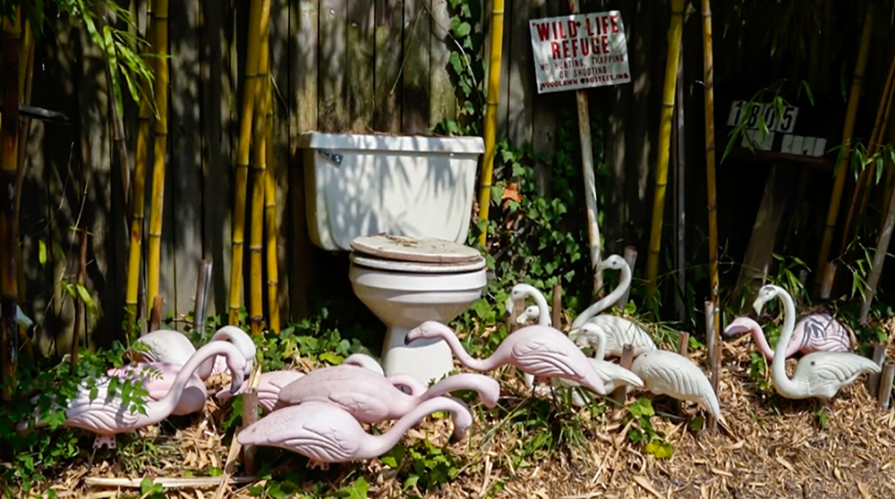 M&M-Arden-1 Plastic flamingos and a toilet arranged outside in front of bamboo and a sign that says