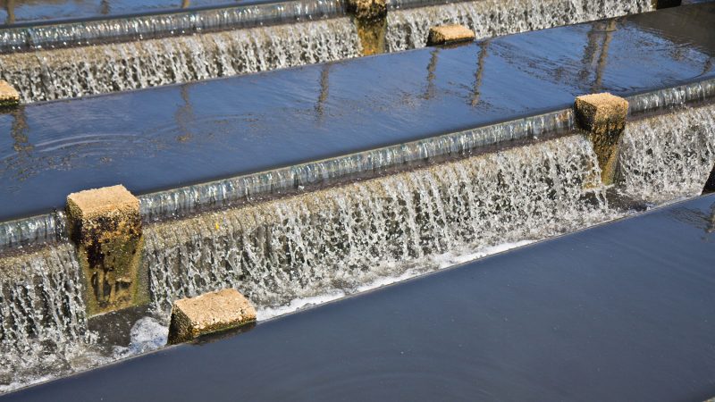 Once sludge, scum, and grit have been removed, what is left is known as the “primary effluent.” It has not been disinfected. Before the passage of the Clean Water Act, this is what would go into the river. (Kimberly Paynter/WHYY)