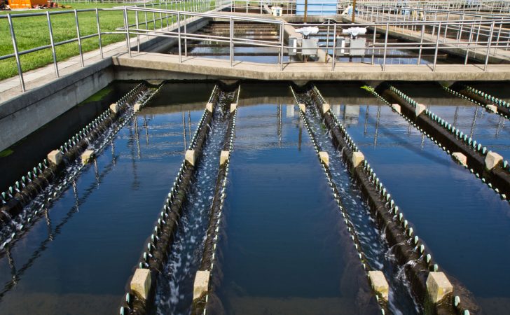 Once the wastewater has been treated in primary and secondary treatment, it moves to the final effluent weirs. After adding chlorine for final disinfection, this is what is release into the river today. It is so clean that moss and algal plant life can be found in the weirs. (Kimberly Paynter/WHYY)