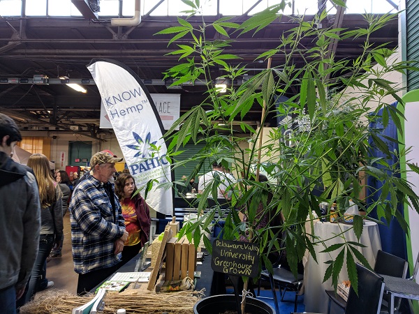 hemp_farmshow Hemp displayed at the 2019 Pennsylvania Farm Show (Rachel McDevitt/WITF)