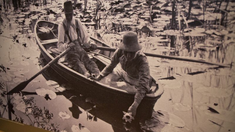 Peter Henry Emerson’s Gathering Water Lilies, 1885. (Kimberly Paynter/WHYY)
