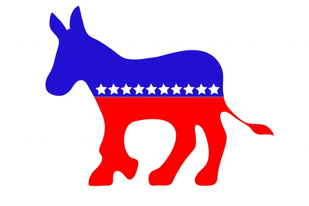 Democrat Donkey