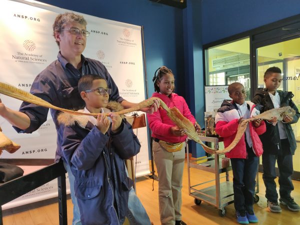 The new “Mythic Creatures” exhibit opens at The Academy of Natural Sciences of Drexel University on Saturday (Xavier Lopez for WHYY)