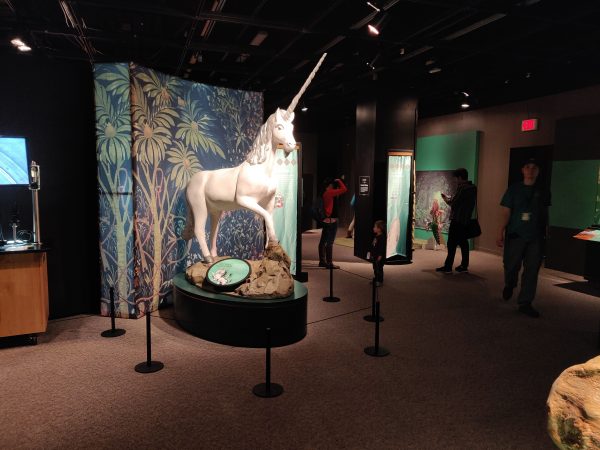 The new “Mythic Creatures” exhibit opens at The Academy of Natural Sciences of Drexel University on Saturday (Xavier Lopez for WHYY)