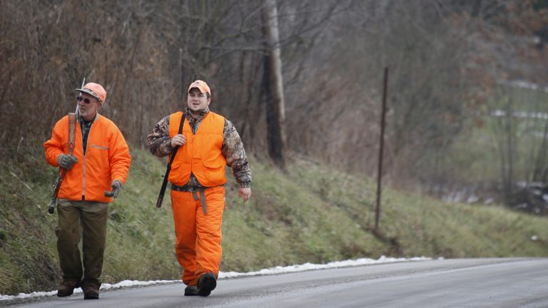 The plaintiffs argued that the 2015 guidelines didn't comply with legal precedent and that the state inflated the number of complaints about bears to justify its actions. (Keith Srakocic/AP Photo)