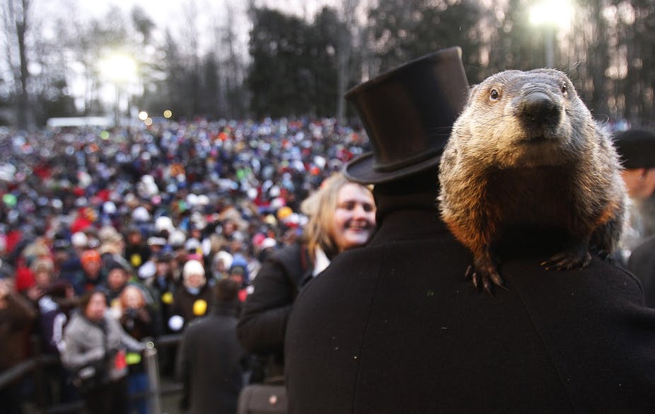 image-20150126-24541-10g0llq Guys, I’m just trying to hibernate over here. (Jason Cohn/Reuters)