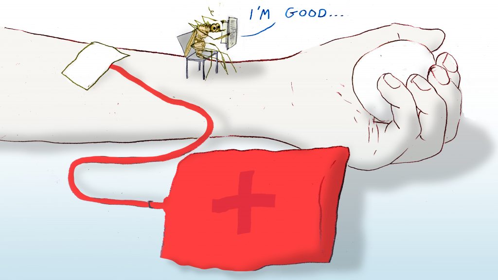 Mosquitoes on diet drugs (Leif Parsons for NPR)