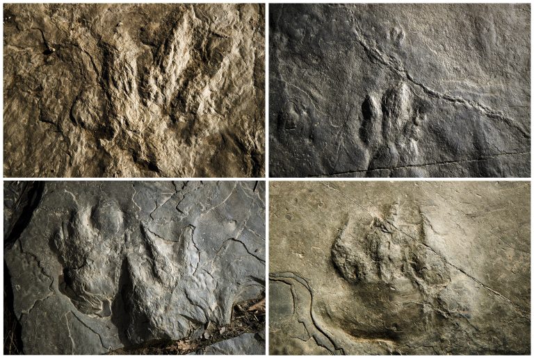 This Feb. 28, 2019, photo combination shows trace fossils on paving stones at the Valley Forge National Historical Park in Valley Forge, Pa. A volunteer at the park outside Philadelphia recently discovered dozens of fossilized footprints on flat rocks installed to pave a section of hiking trail. (Matt Rourke/AP Photo)