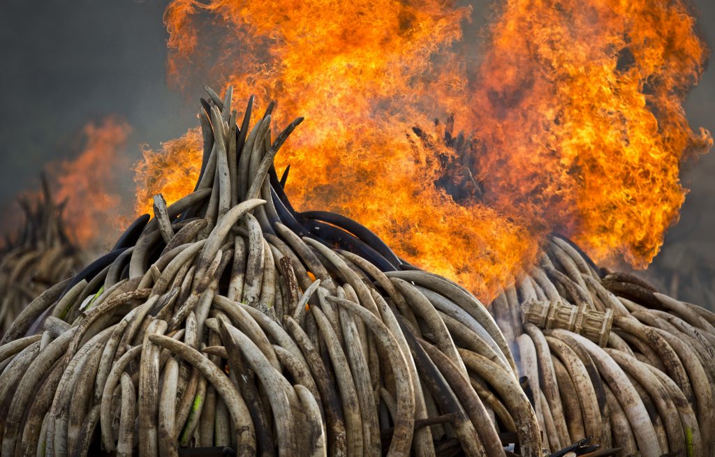 UN Environment Report According to a scientific report from the United Nations released on Wednesday, March 13, 2019, climate change, a global major extinction of animals and plants, a human population soaring toward 10 billion, degraded land, polluted air, and plastics, pesticides and hormone-changing chemicals in the water are making the planet an increasing unhealthy place for people. (AP Photo/Ben Curtis)