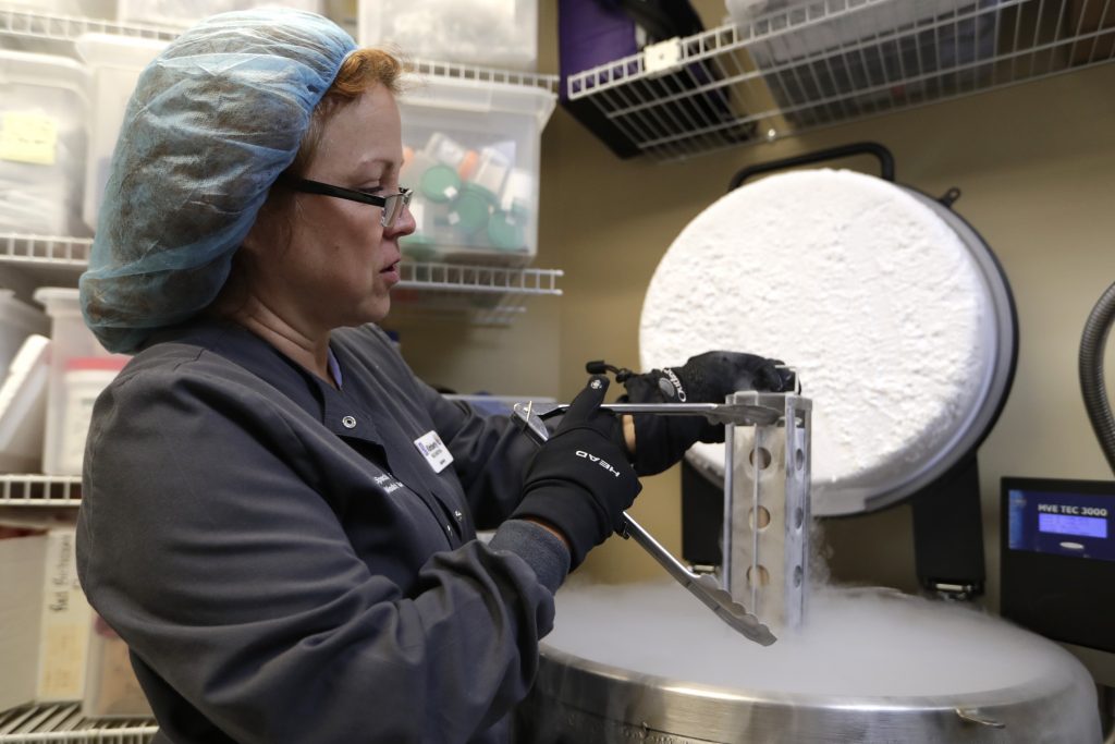 Featured Image – AP_18276754321077 Medical tech removes a container with frozen embryos and sperm being stored in liquid nitrogen at a fertility clinic. (Lynne Sladky/ AP Photo)