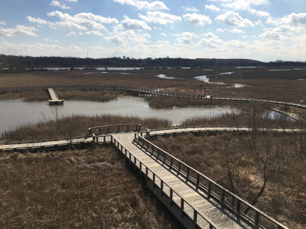 IMG_3350 Conservation groups hope to use $4.1 million to preserve and protect areas of the Delaware River Watershed similar to what’s been done here along the Wilmington Riverfront and the Christina River. (Mark Eichmann/WHYY)