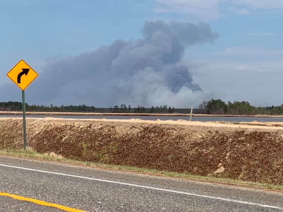 The New Jersey Forest Fire Service says the wildfire in a remote area near Spring Hill Road in Burlington County's Penn State Forest broke out early Saturday afternoon. (Courtesy of Amy Miller Shaman)