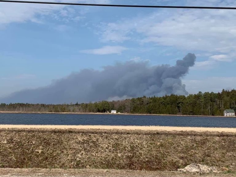 The New Jersey Forest Fire Service says the wildfire in a remote area near Spring Hill Road in Burlington County's Penn State Forest broke out early Saturday afternoon. (Courtesy of Amy Miller Shaman)