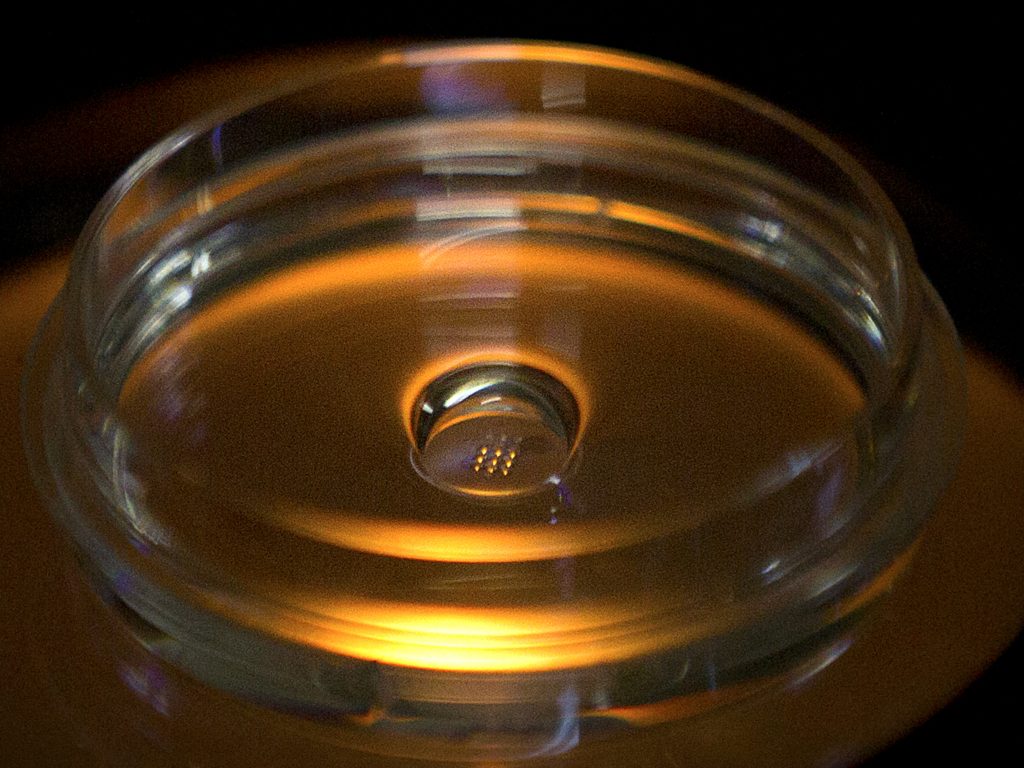 There was an uproar in 2018 when a scientist in China, He Jiankui, announced that he had successfully used CRISPR to edit the genes of twin girls when they were embryos. Prominent scientists hope to stop further attempts at germline editing, at least for now. There was an uproar in 2018 when a scientist in China, He Jiankui, announced that he had successfully used CRISPR to edit the genes of twin girls when they were embryos. Prominent scientists hope to stop further attempts at germline editing, at least for now. (Mark Schiefelbein/AP)
