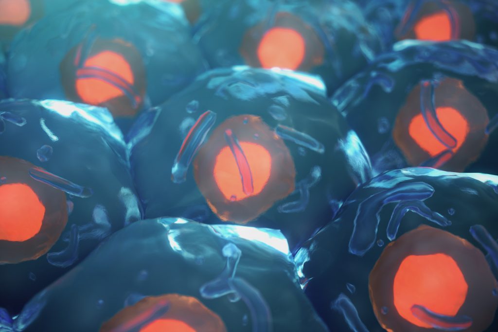 3D Illustration of Human Cells (Bigstock/Usis)
