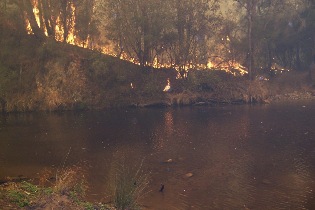 A fire burns along the Howqua River in 2006 in southern Australia's Victoria state. Fire is no stranger in the bush country there. (Graeme Stoney, Mountain Cattlemen's Association of Victoria)
