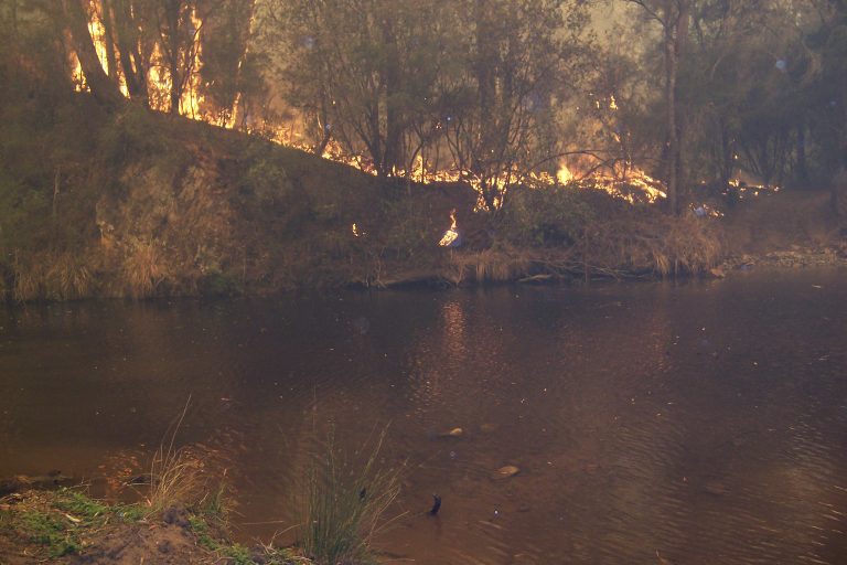 A fire burns along the Howqua River in 2006 in southern Australia's Victoria state. Fire is no stranger in the bush country there. (Graeme Stoney, Mountain Cattlemen's Association of Victoria)