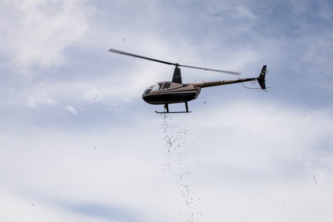 A helicopter dropped thousands of Easter eggs on to the River Fields in Northeast Philadelphia Saturday. (Brad Larrison for WHYY)