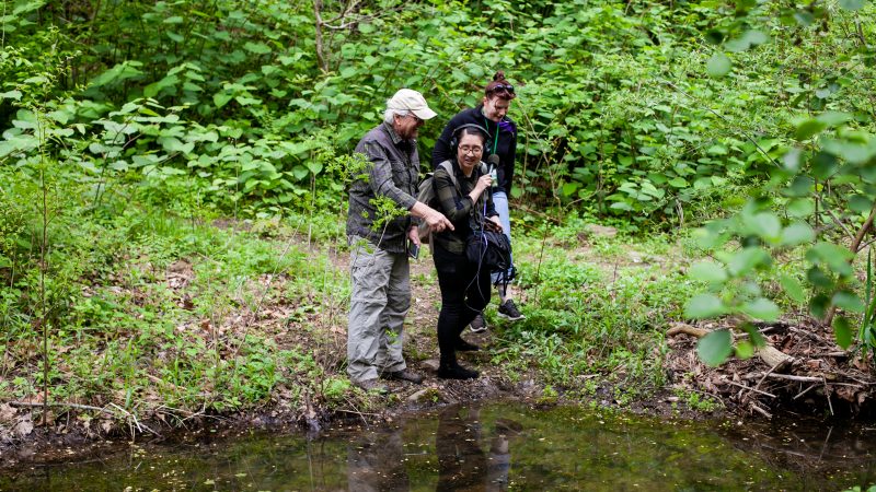 Craig Johnson of Interpret Green and Sadie Francis of Bio Philly show WHYY reporter Ximena Conde wildlife in a small pond during the City Nature Challenge Sunday. (Brad Larrison for WHYY)