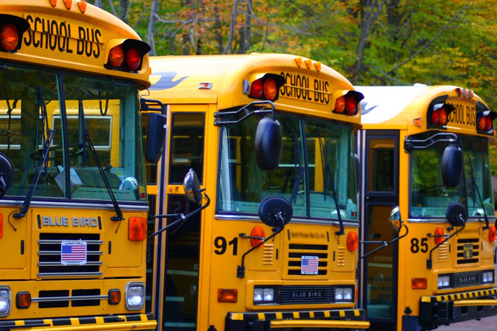 Buses School buses are seen in a file photo.