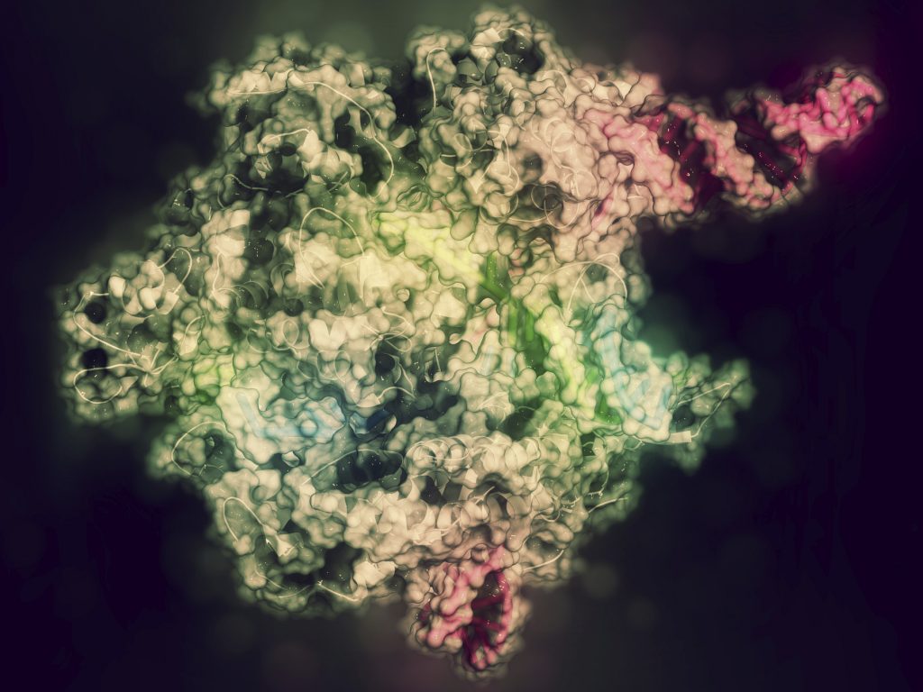 CRISPR gene-editing technology allows scientists to make highly precise modifications to DNA. The technology is now starting to be used in human trials to treat several diseases in the U.S.
(Molekuul/Getty Images/Science Photo Library)