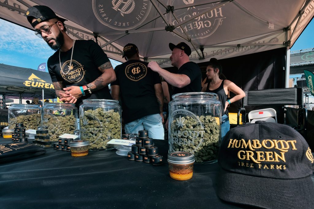 file-20181113-194494-1b1h3a7 Perhaps one day Humboldt pot will be as famous as Bordeaux wine. (Richard Vogel/AP Photo)
